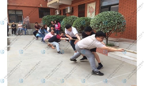 企業(yè)活動(dòng)展示